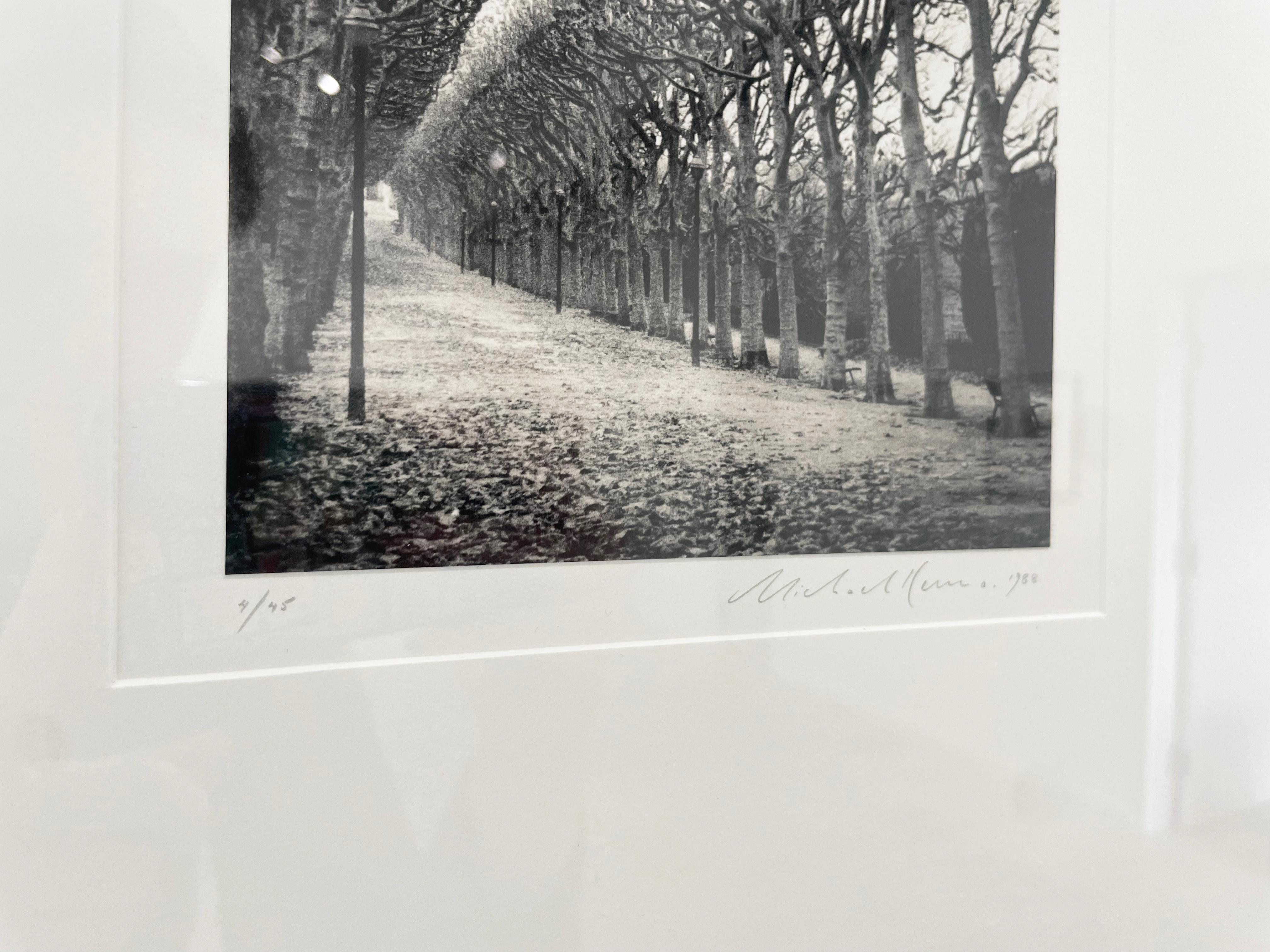 Jardin des Plantes, Study 1, Paris, France by Michael Kenna presents a tranquil scene. Tall trees with barren branches line the park road, leading back to a building in the distance.  Park benches and street lights are seen intermittently next to
