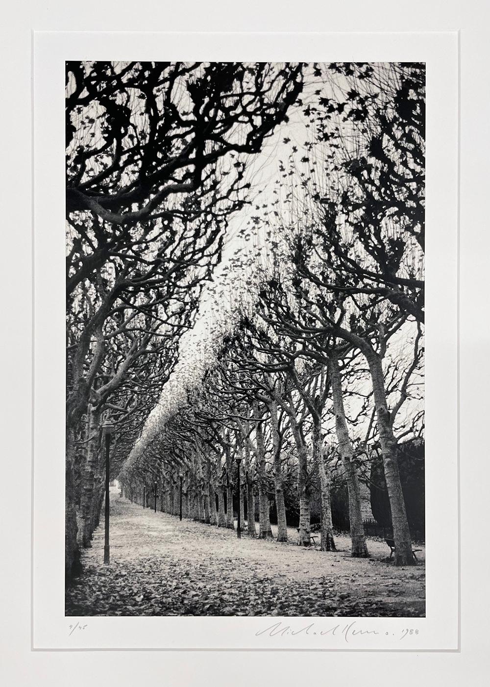 Jardin des Plantes, Studio 1, Parigi, Francia di Michael Kenna, 1988 in vendita 2