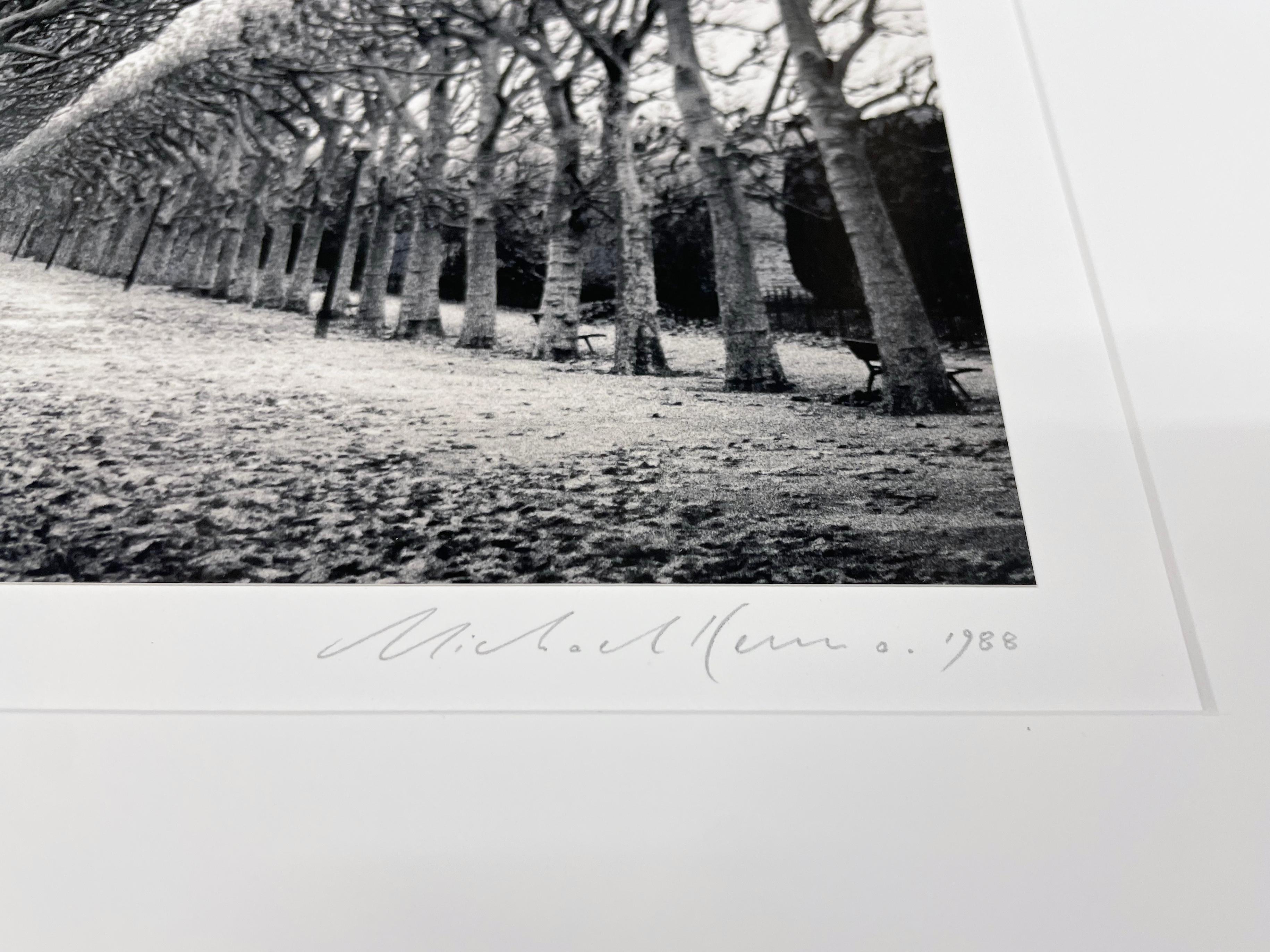 Jardin des Plantes, Studio 1, Parigi, Francia di Michael Kenna, 1988 in vendita 3