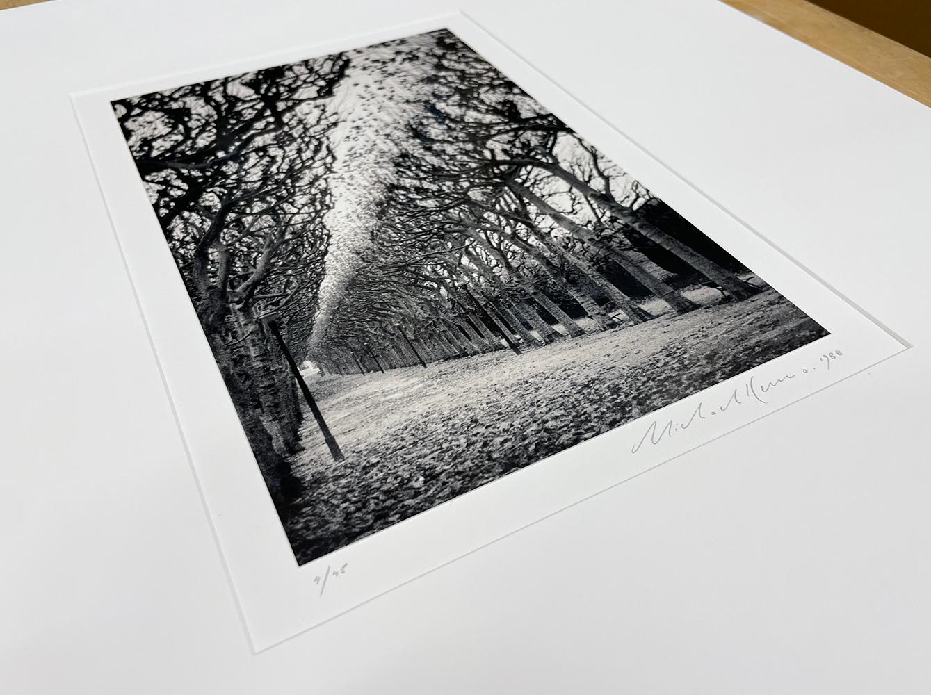 Jardin des Plantes, Studio 1, Parigi, Francia di Michael Kenna, 1988 in vendita 4