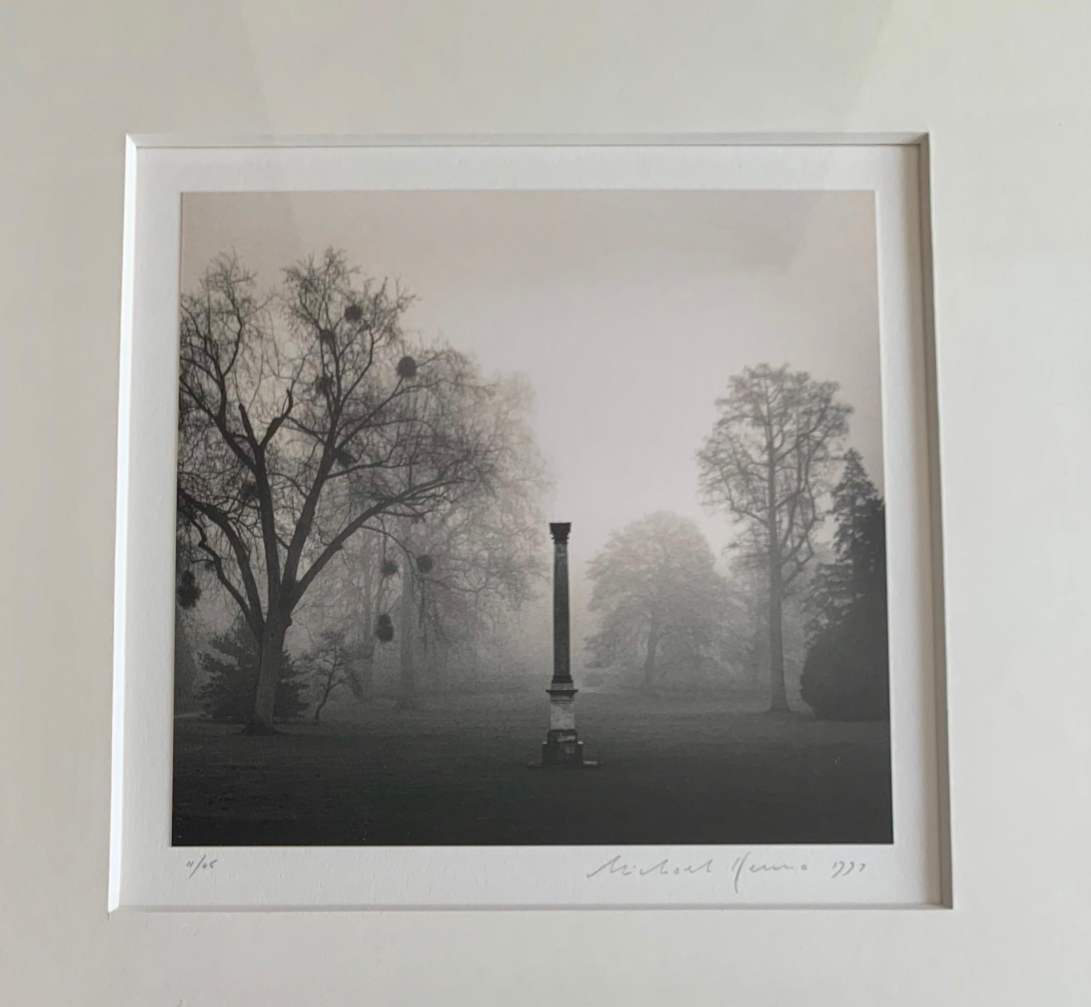 Jardin du roi, Versailles, France - Photograph by Michael Kenna