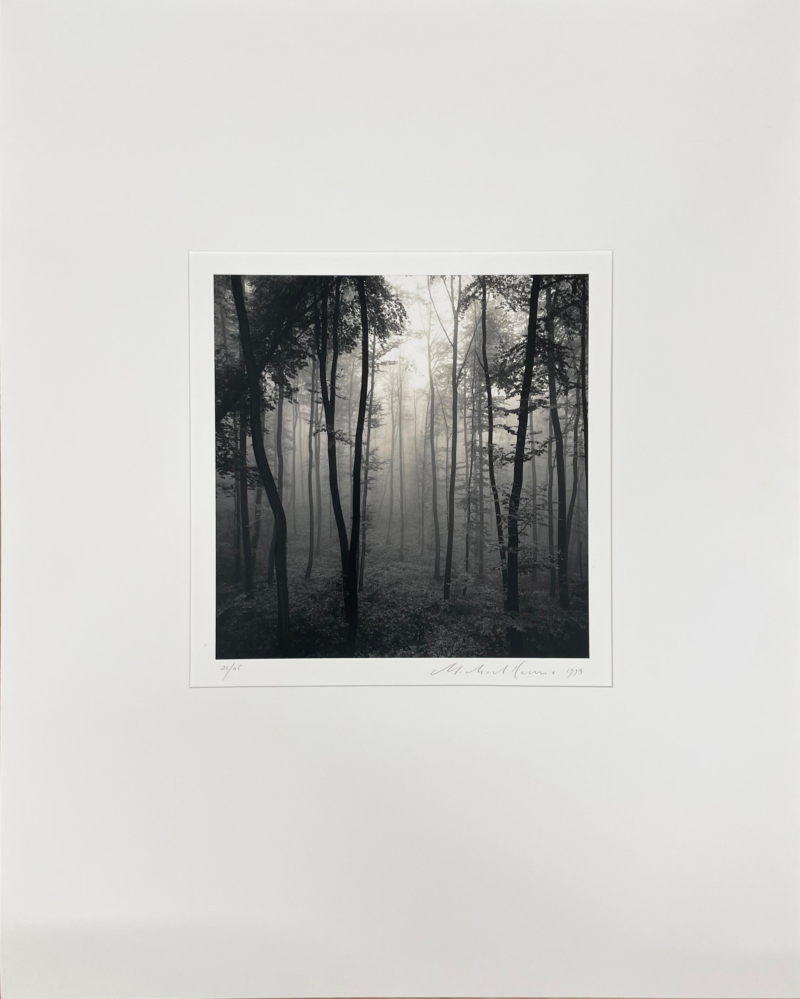 Jura Jura-Wälder, Dornach, Schweiz, Schwarz-Weiß-Fotografie, Silbergelatine – Photograph von Michael Kenna