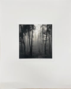 Jura Jura-Wälder, Dornach, Schweiz, Schwarz-Weiß-Fotografie, Silbergelatine