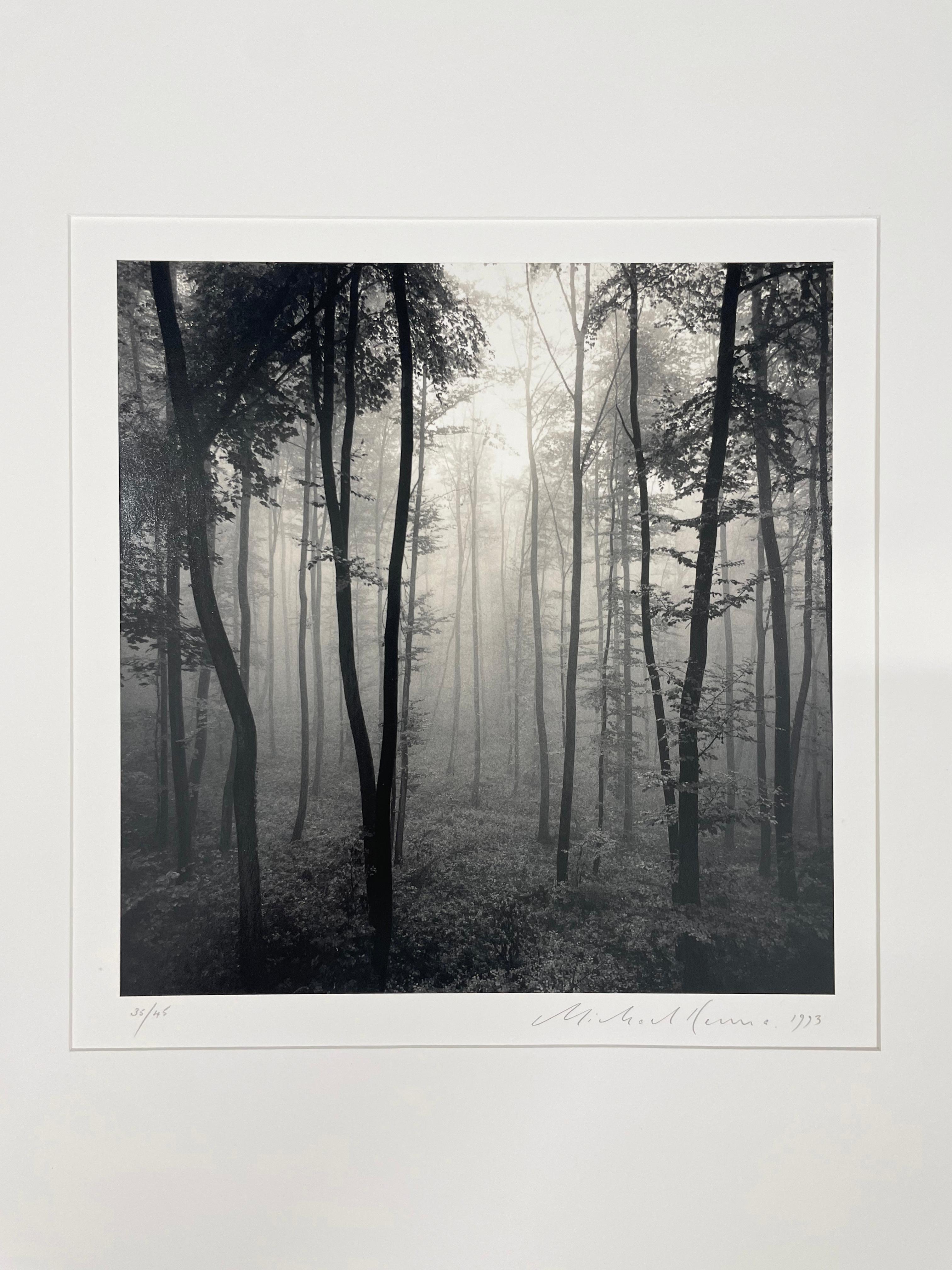 Jura Jura-Wälder, Dornach, Schweiz, Schwarz-Weiß-Fotografie, Silbergelatine (Zeitgenössisch), Photograph, von Michael Kenna