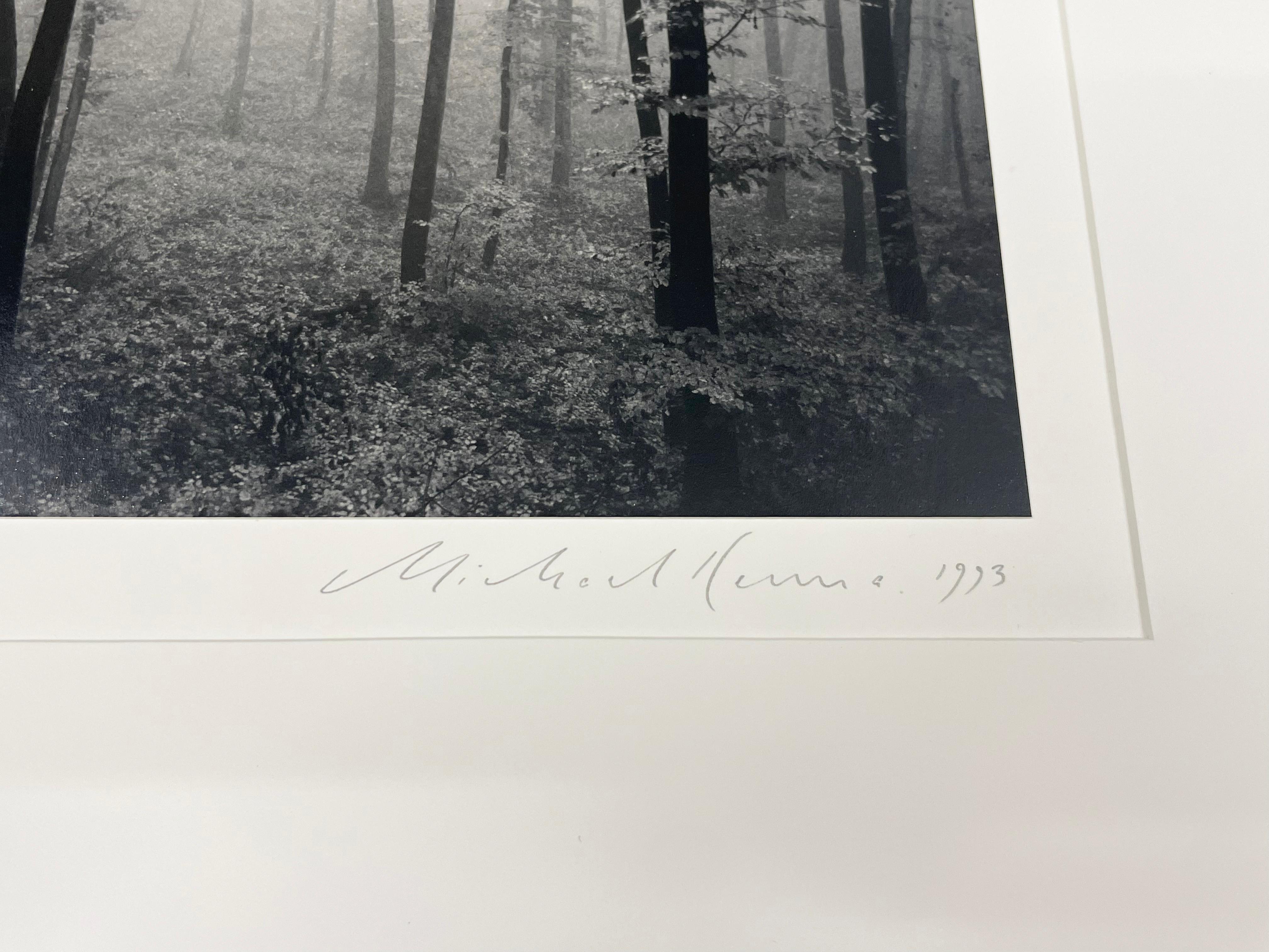 Jura Forest, Dornach, Schweiz von Michael Kenna zeigt eine dramatische Waldszene. Der dichte Wald verschwindet im Hintergrund, der Nebel umhüllt die Bäume. Die dunklen Bäume rahmen einen Weg ein, der weiter in die Landschaft hineinführt. 

Jura