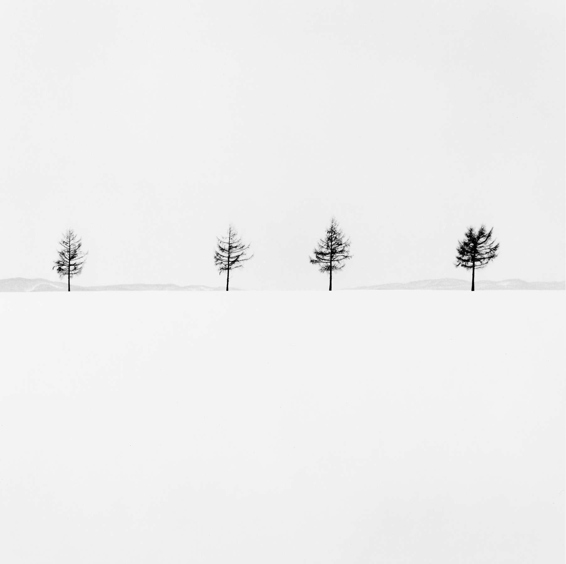 Michael Kenna Black and White Photograph - Kurosawa's Trees, Study 1, Memanbetsu, Hokkaido, Japan, 2004