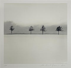 Kurosawa's Trees - Limited Edition Black and White Photograph, Landscape