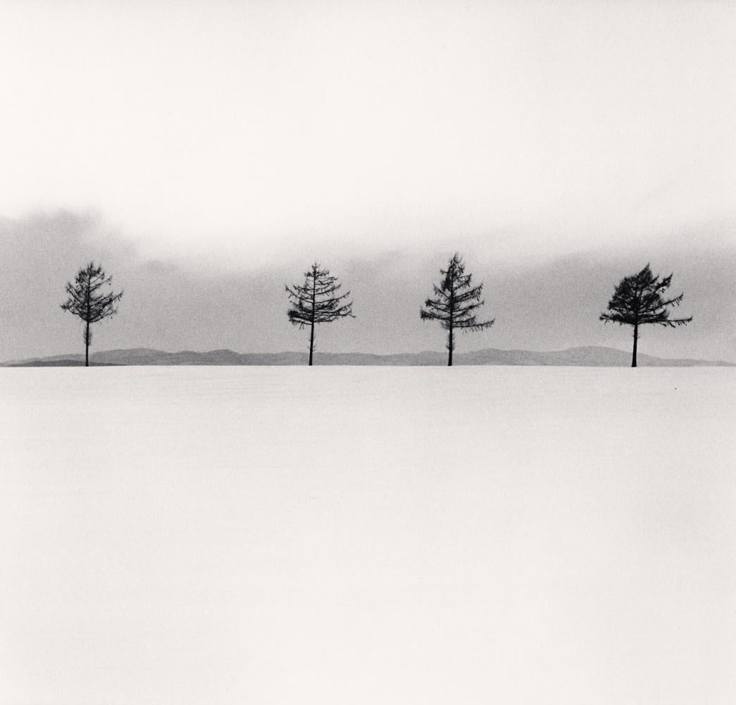Michael Kenna Landscape Photograph - Kurosawa's Trees, Study 3, Memanbetsu, Hokkaido, Japan