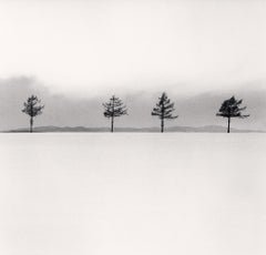 Kurosawas Bäume, Studie 3, Memanbetsu, Hokkaido, Japan