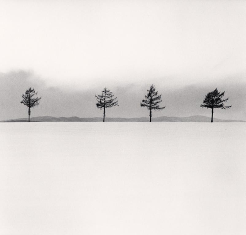 Michael Kenna Figurative Photograph - Kurosawa's Trees, Study 3, Memanbetsu, Hokkaido, Japan