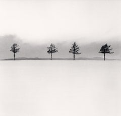 Trees von Kurosawa, Studie 3, Memanbetsu, Hokkaido, Japan