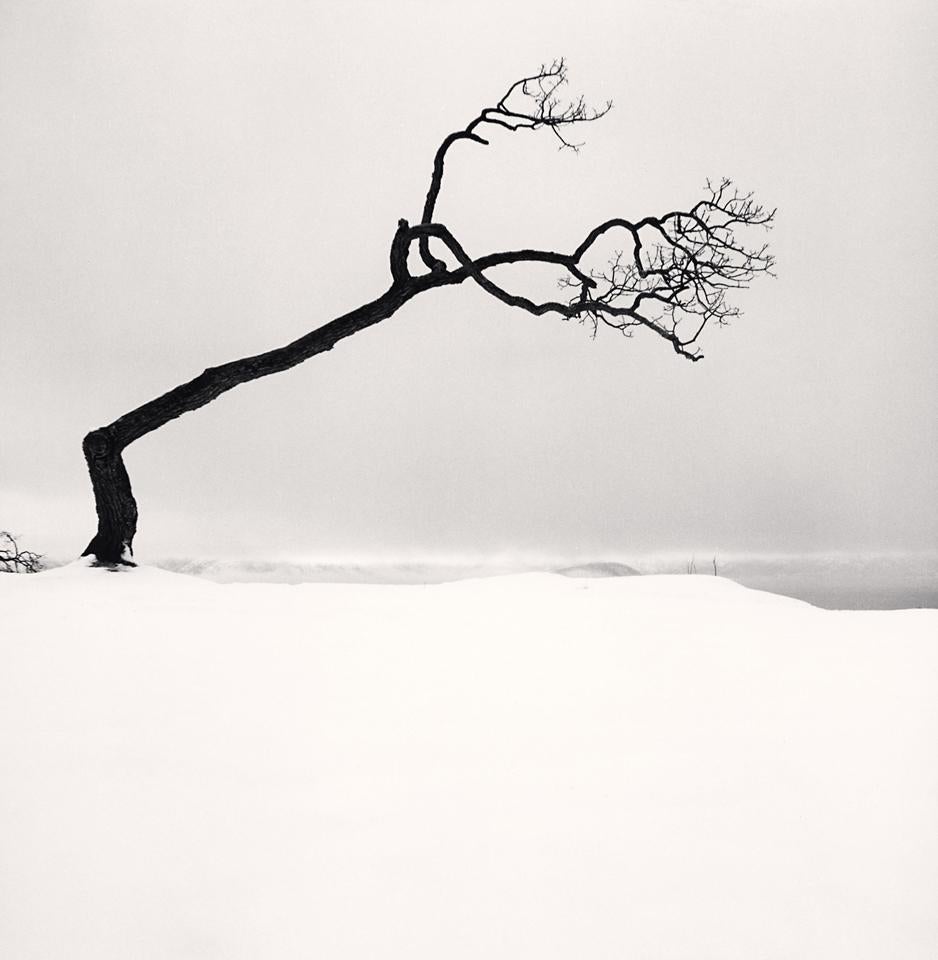 Michael Kenna Landscape Photograph –  Kussharo-Seebaum, Studie 17, Kotan, Hokkaido, Japan 