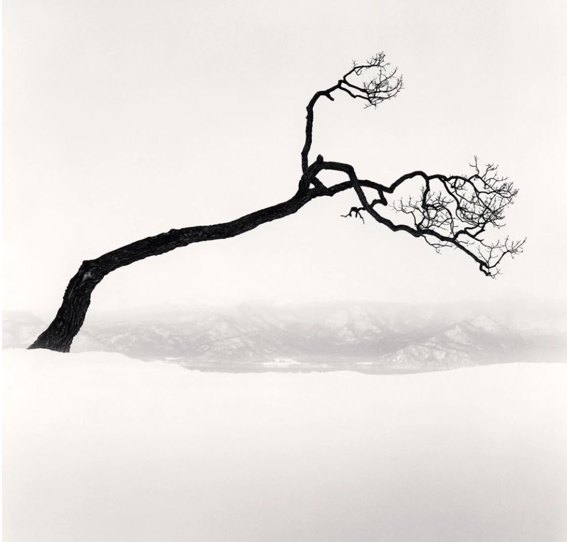 Kussharo Lake Tree, Study no 9, Kotan, Hokkaido, Japan, 2009  - Michael Kenna 