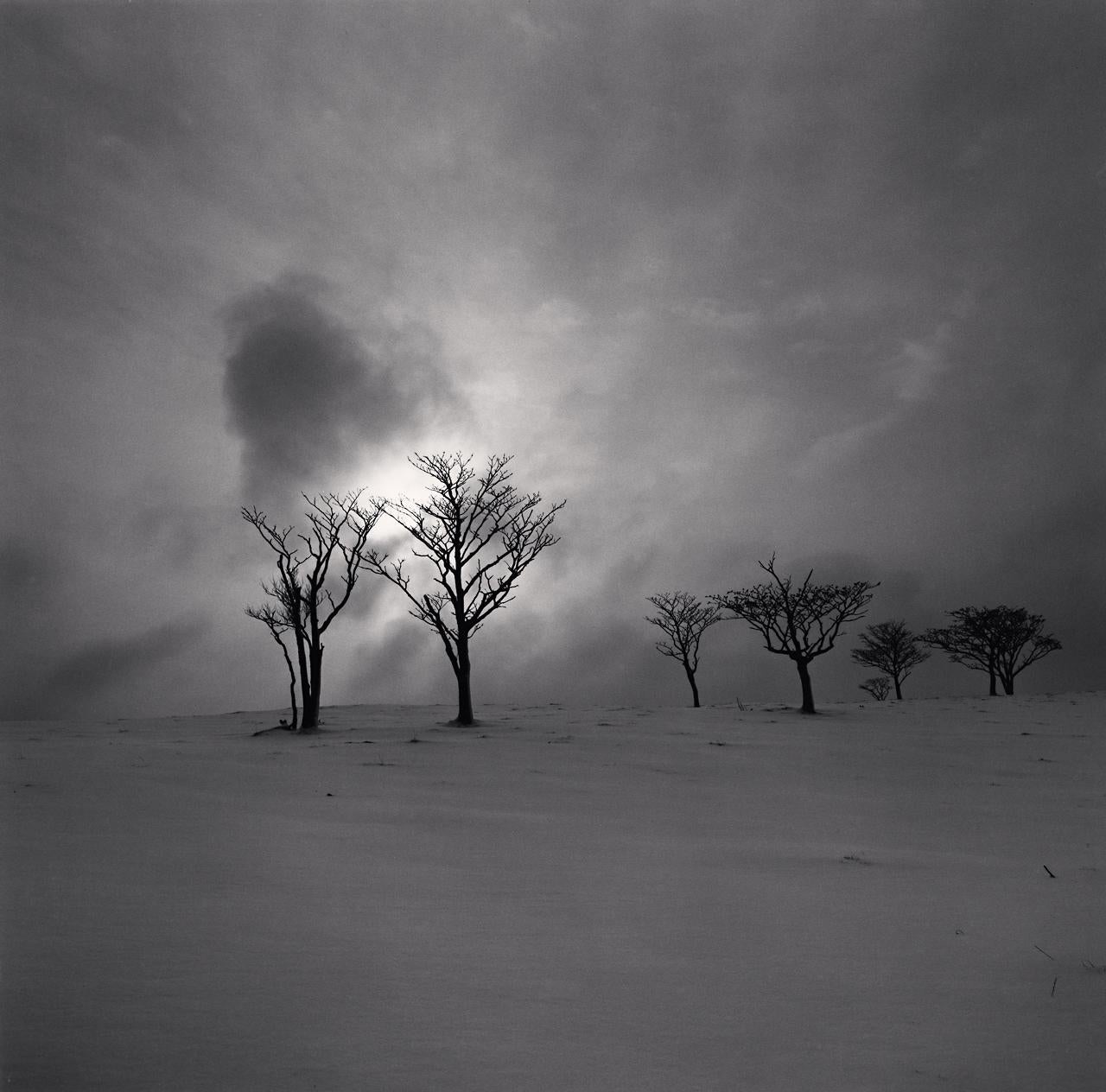 Michael Kenna Black and White Photograph -  Late Afternoon Light, Hokkaido, Japan 