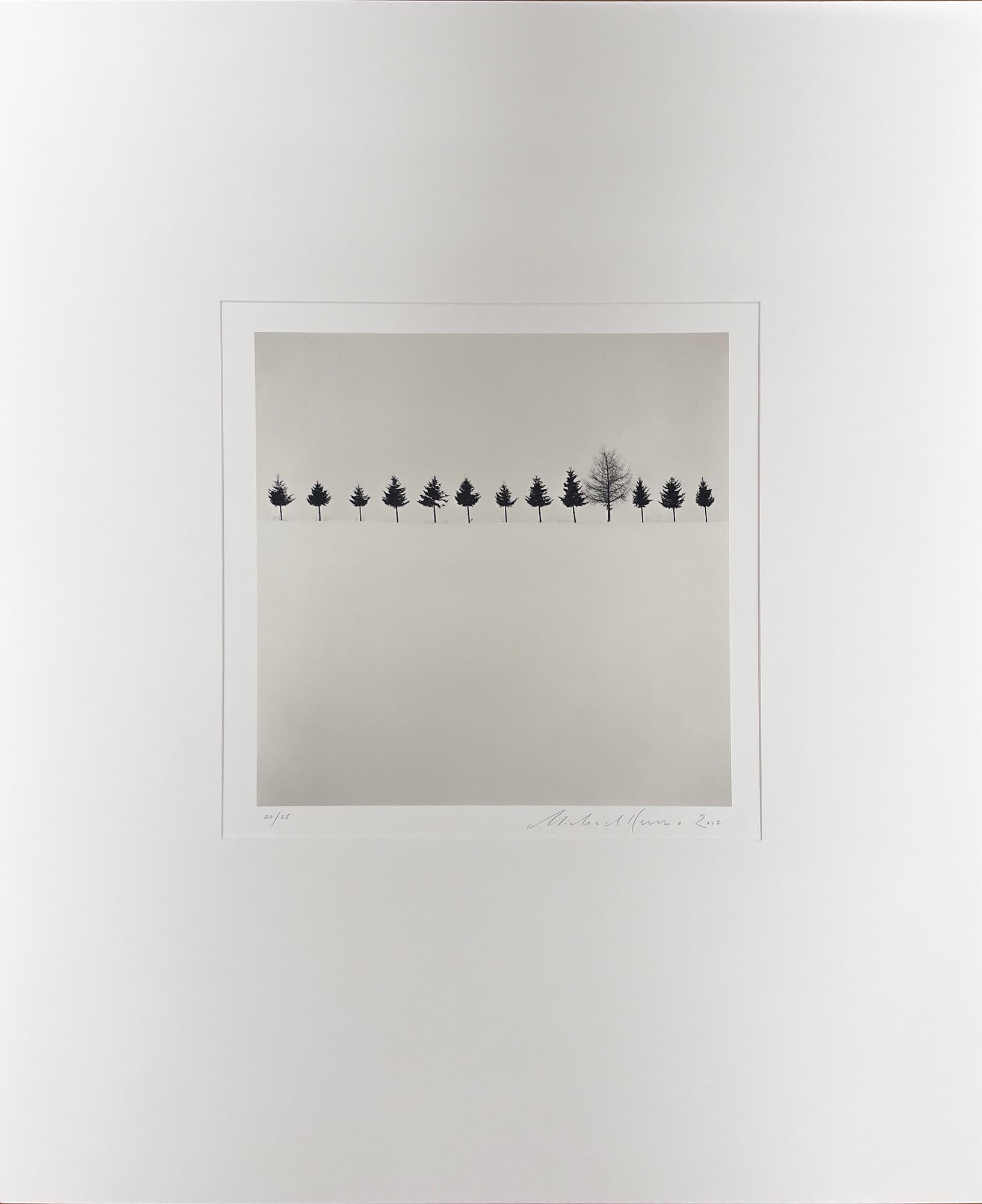 Line of Trees, Biei, Hokkaido, Japan by Michael Kenna, 2012  For Sale 1