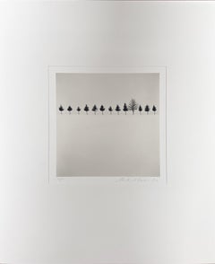Línea de árboles, Biei, Hokkaido, Japón por Michael Kenna, 2012