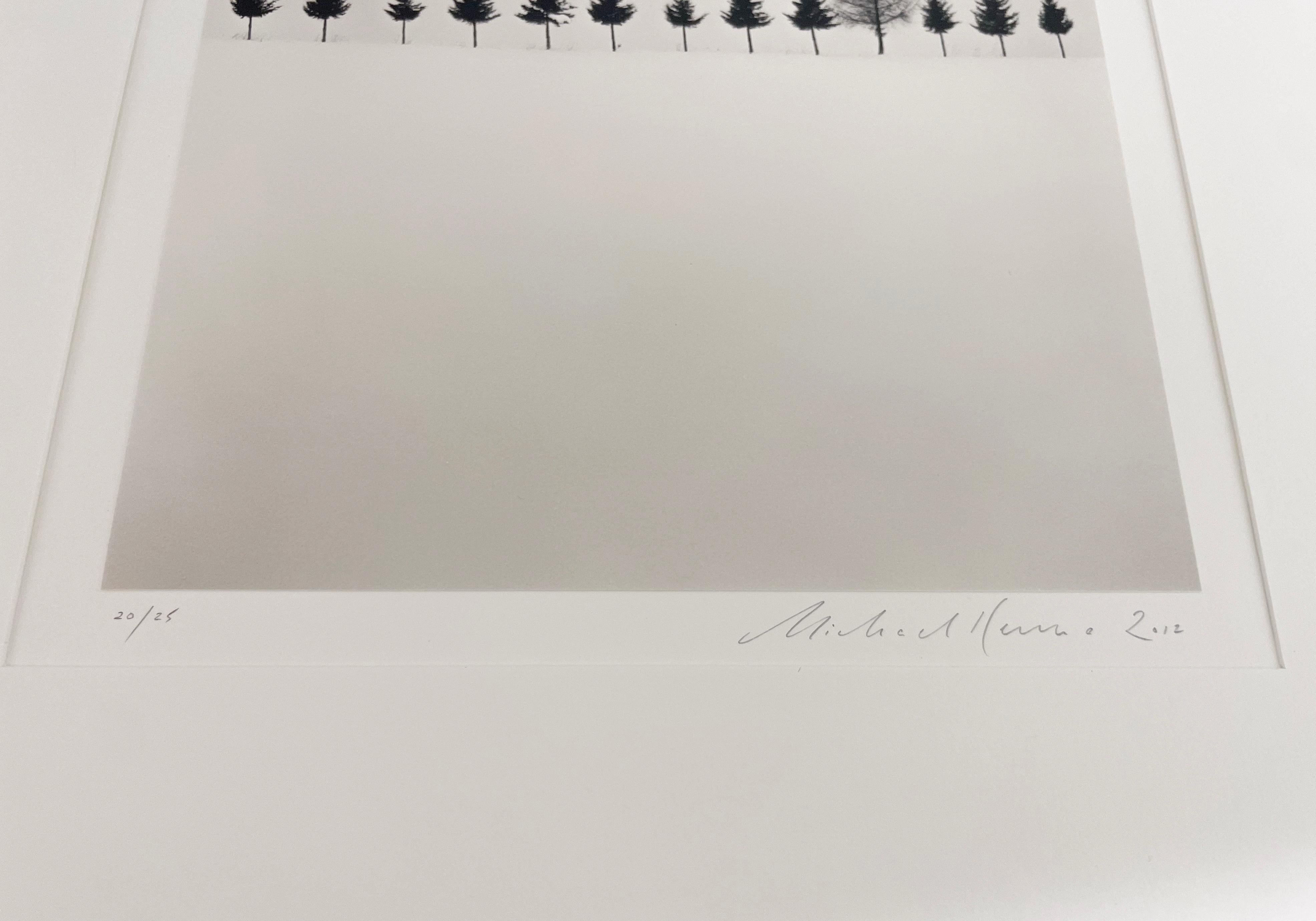 Reihe von Bäumen, Biei, Hokkaido, Japan, von Michael Kenna, 2012 im Angebot 2