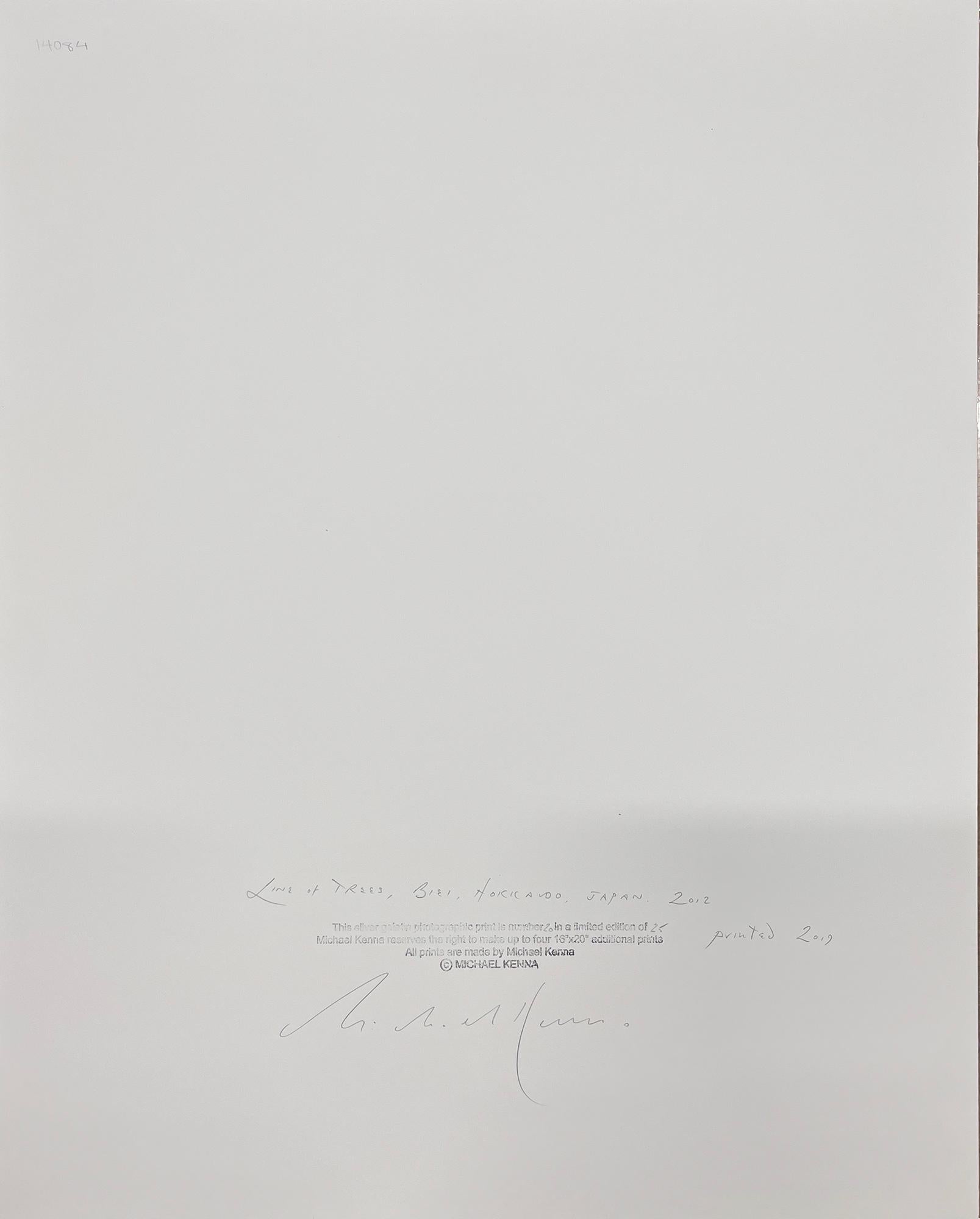 Reihe von Bäumen, Biei, Hokkaido, Japan, von Michael Kenna, 2012 im Angebot 4