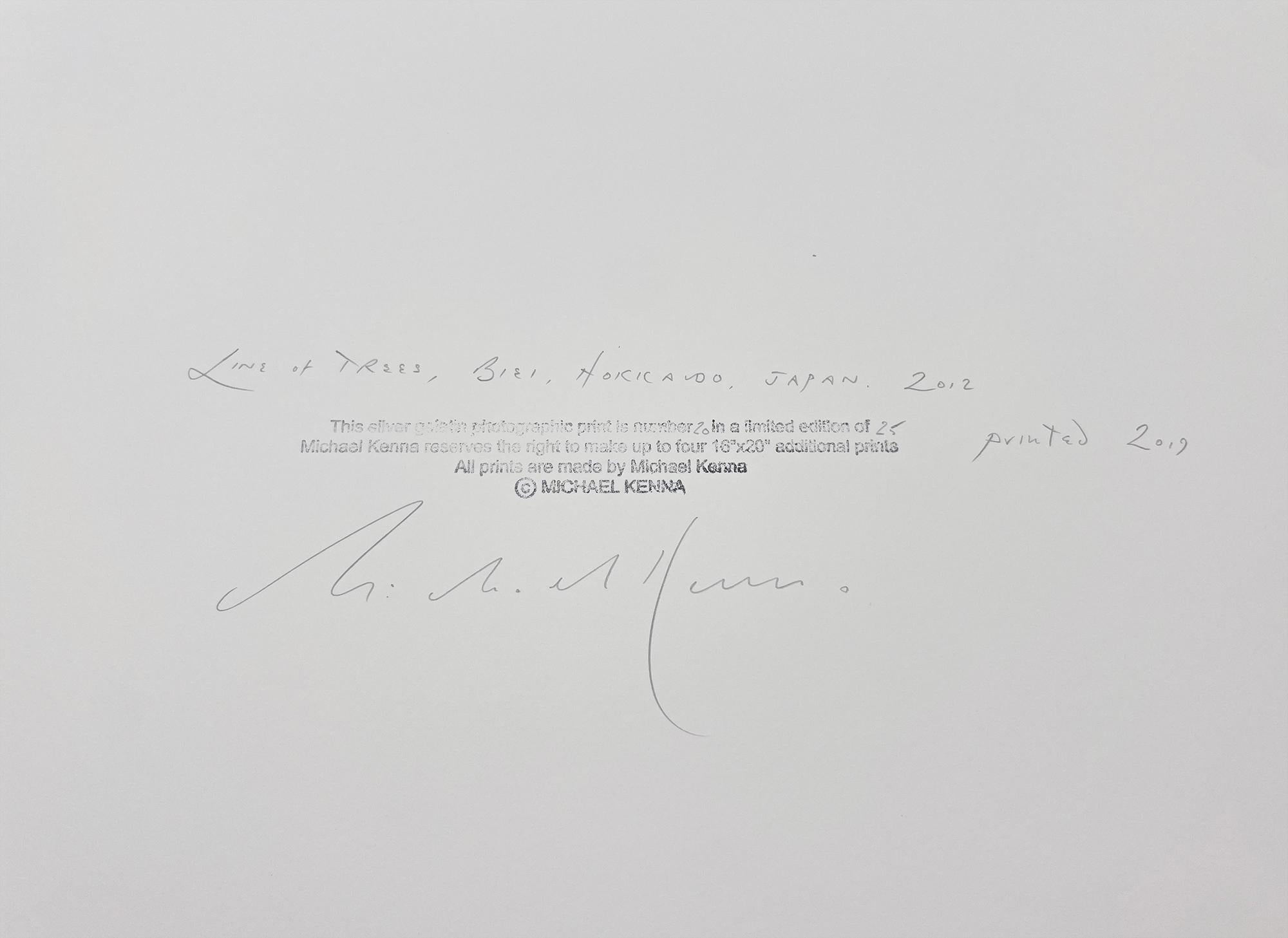 Reihe von Bäumen, Biei, Hokkaido, Japan, von Michael Kenna, 2012 im Angebot 5