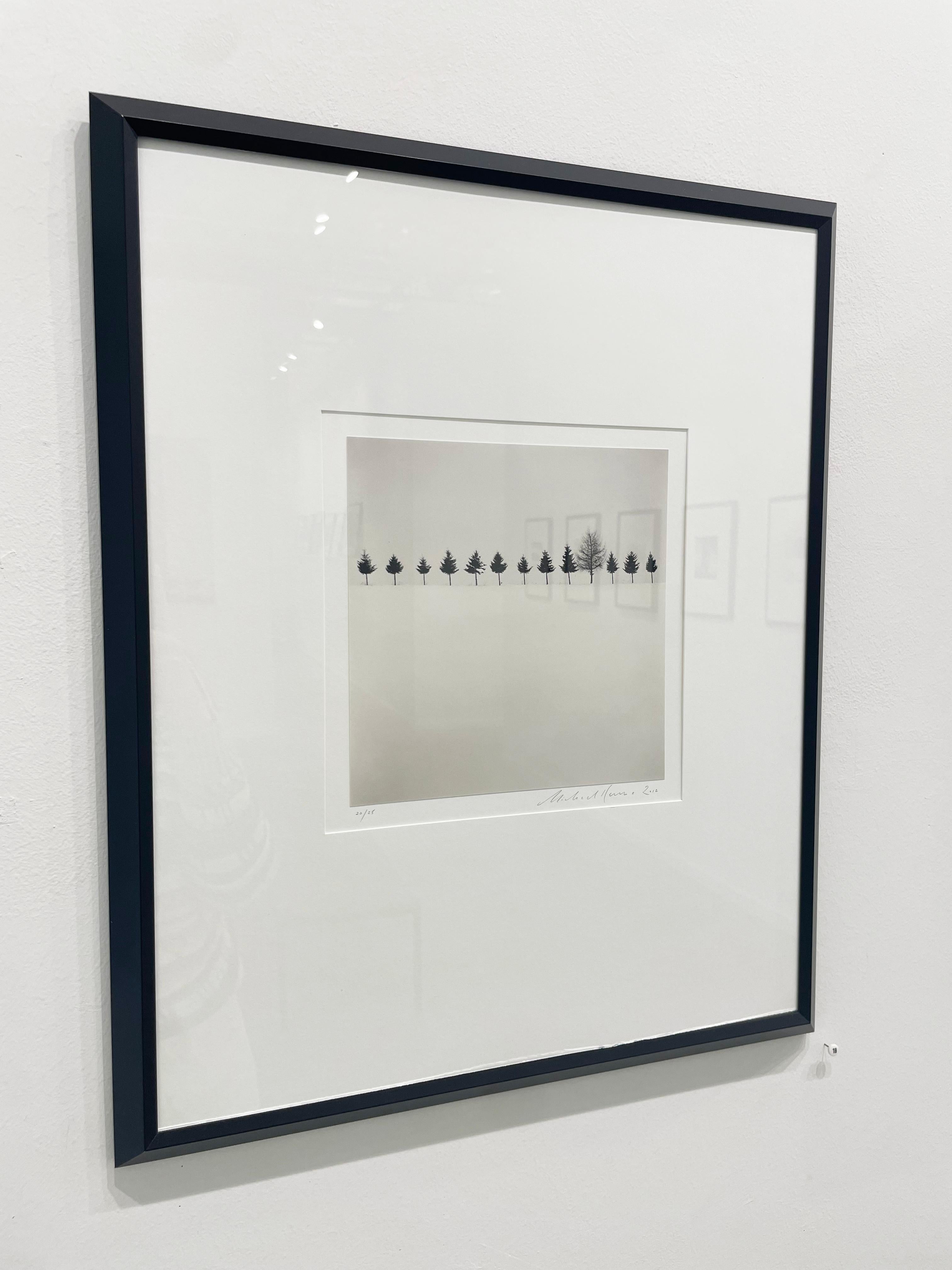 Reihe von Bäumen, Biei, Hokkaido, Japan, von Michael Kenna, 2012 im Angebot 6