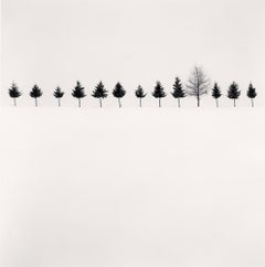 Línea de árboles, Biei, Hokkaido, Japón por Michael Kenna, 2012