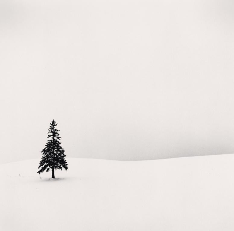 Michael Kenna Black and White Photograph - Lone Tree, Bibaushi, Hokkaido, Japan