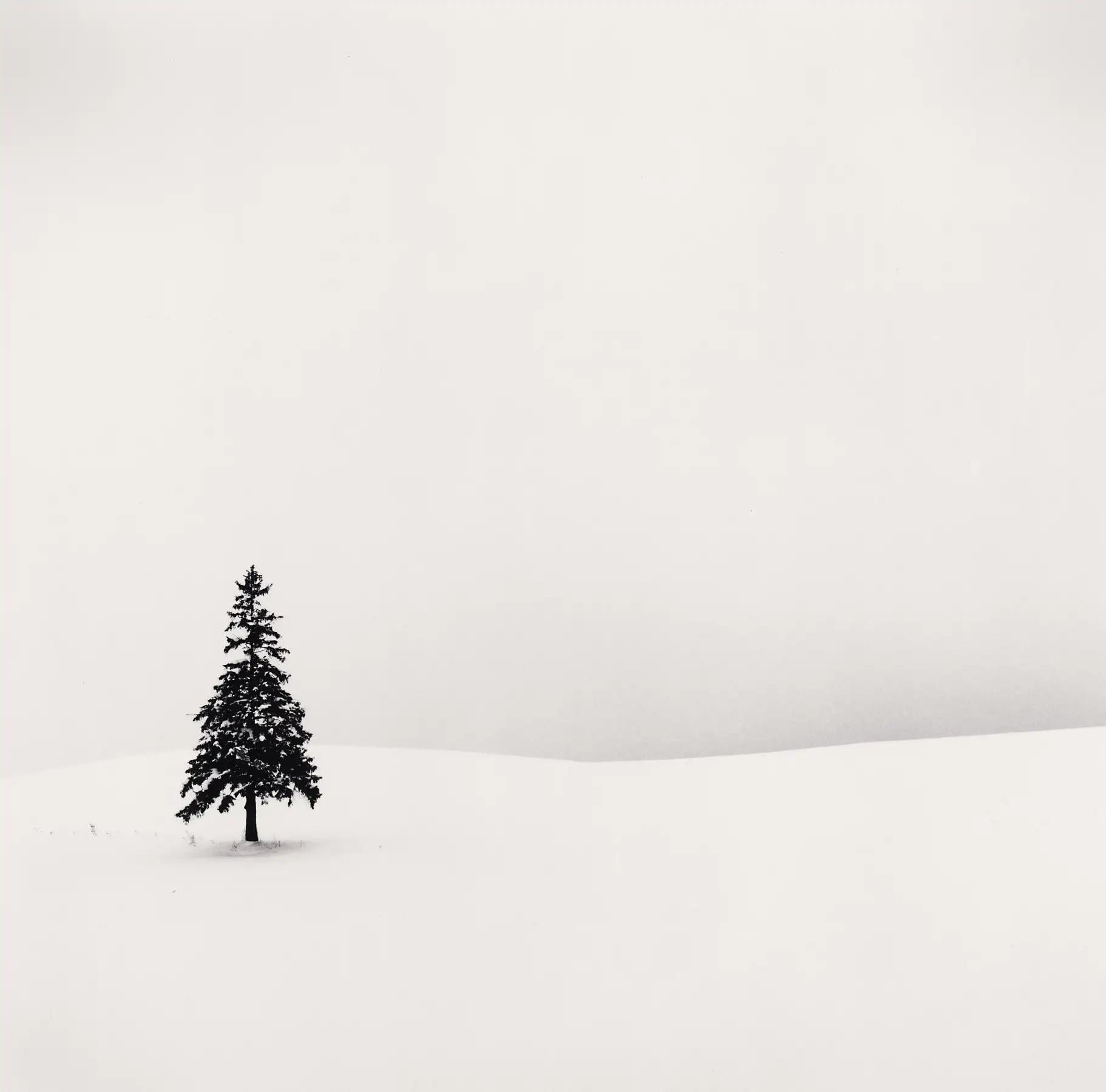 Michael Kenna Black and White Photograph – Einsamer Baum, Studie 1, Bibaushi, Hokkaido, Japan