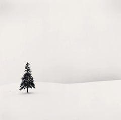 Einsamer Baum, Studie 1, Bibaushi, Hokkaido, Japan