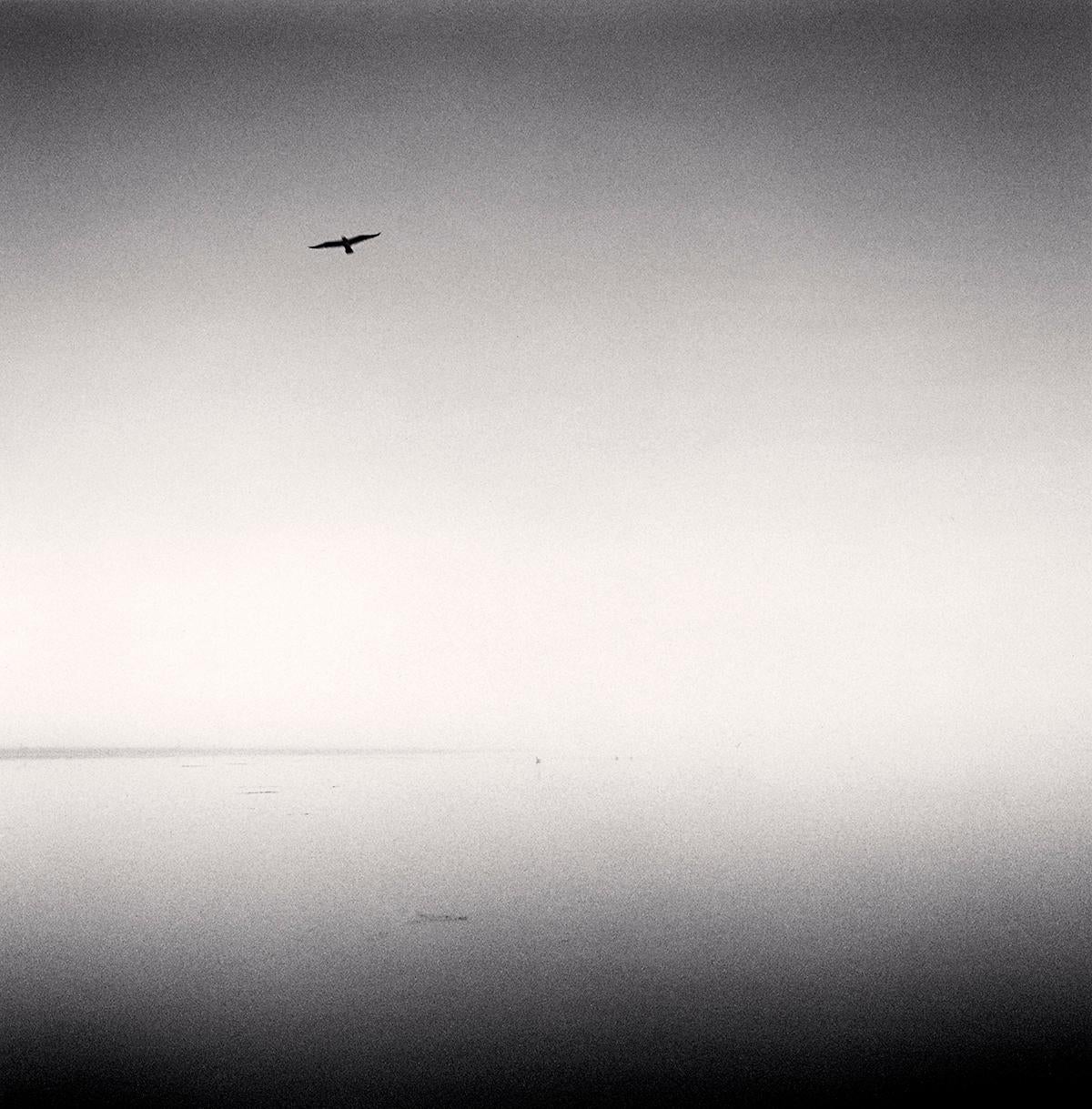 Michael Kenna Black and White Photograph - Morning, Main Channel, Elkhorn Slough, California, USA