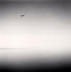 Mattina, Canale principale, Elkhorn Slough, California, USA
