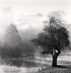 Morning Mists, Pyin U Lwin, Myanmar
