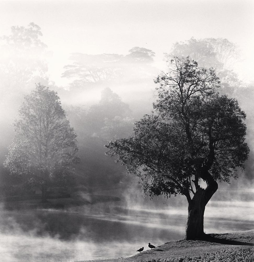 Michael Kenna Landscape Photograph - Morning Mists, Pyin U Lwin, Myanmar, Limited Edition photograph, SGP