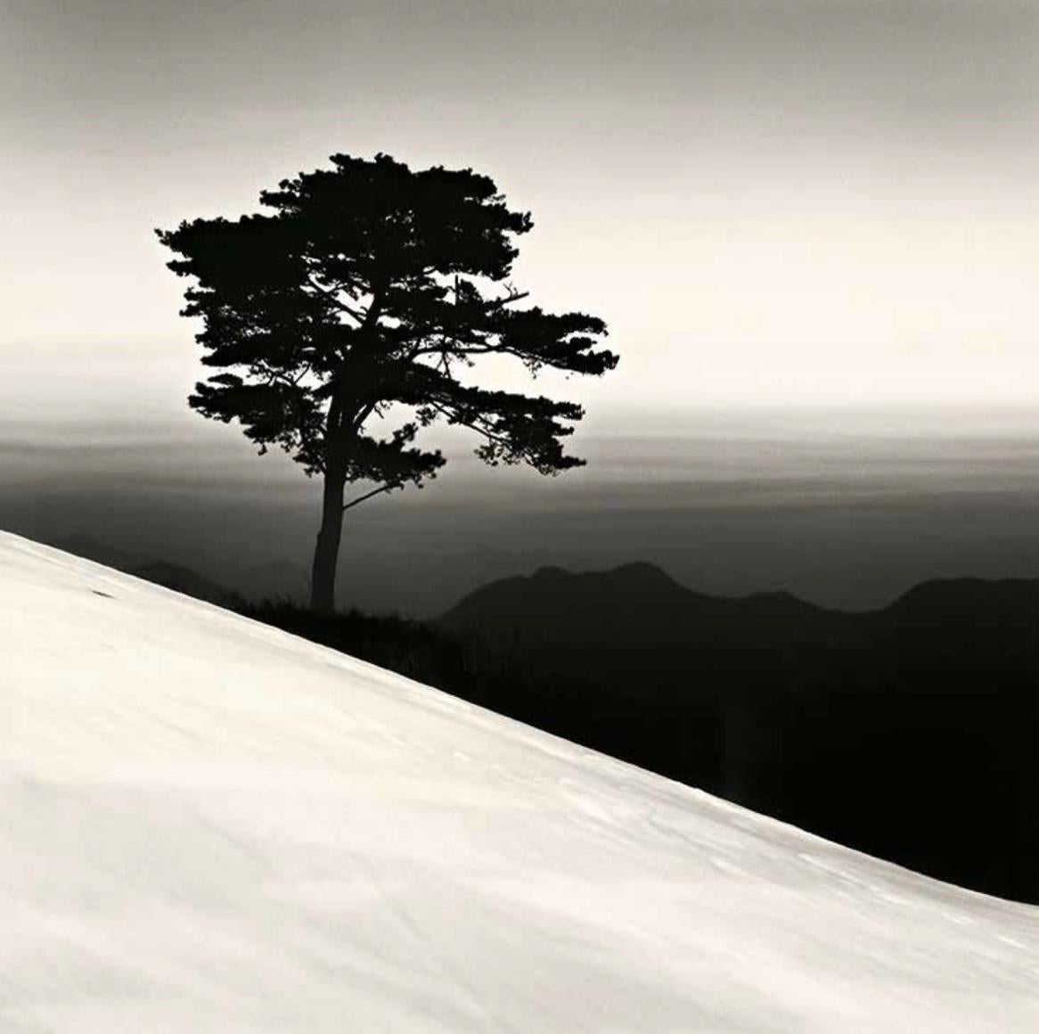 Michael Kenna Black and White Photograph - Mountain Tree, Study 1, Danyang, Chungcheonbukdo, 2011