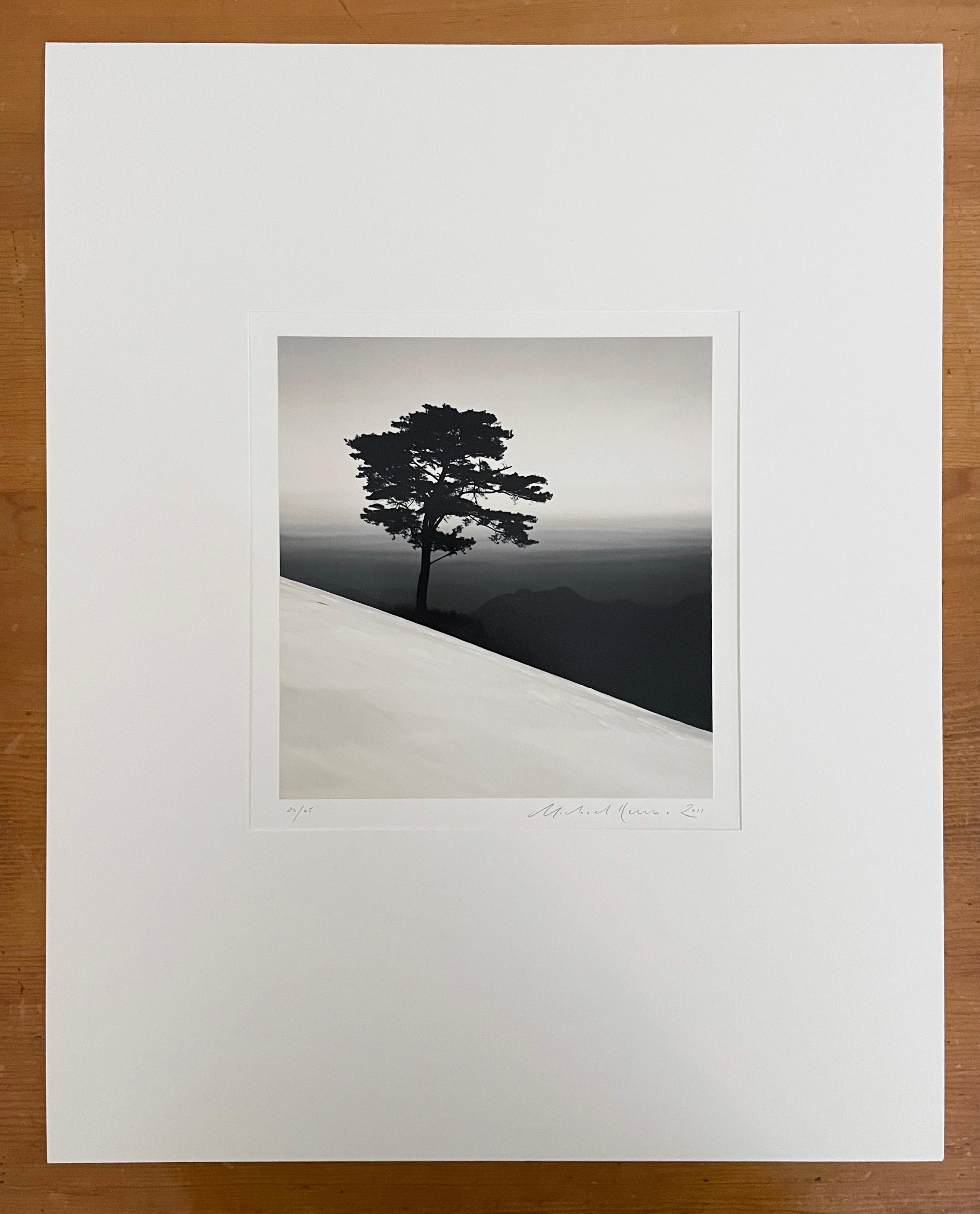Mountain Tree, Study 1, Danyang, Chungcheongbukdo, South Korea by Michael Kenna For Sale 1