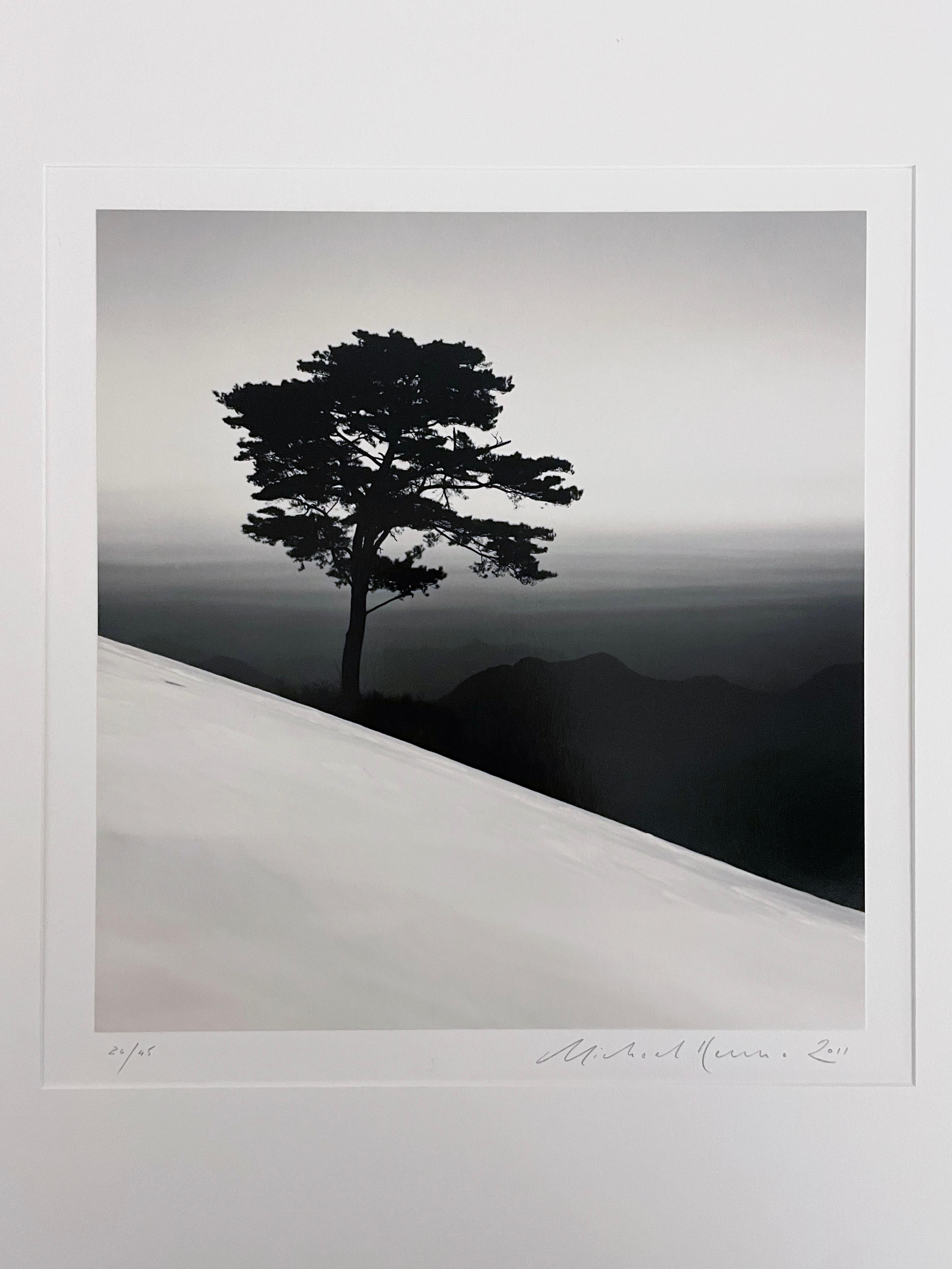 Mountain Tree, Study 1, Danyang, Chungcheongbukdo, South Korea by Michael Kenna For Sale 2