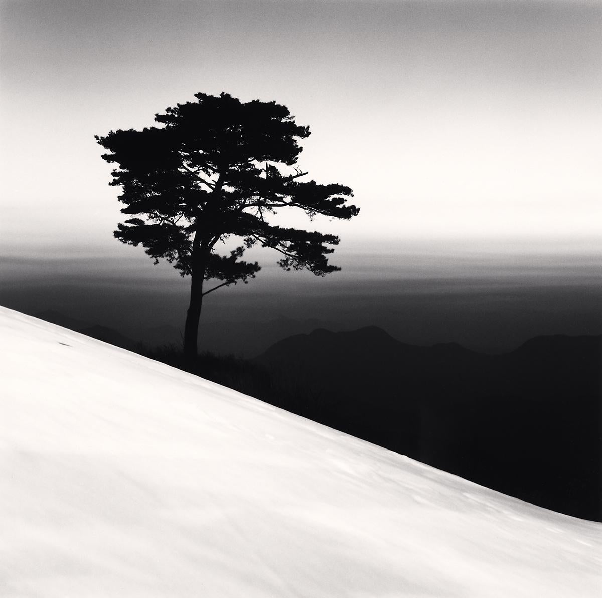 Mountain Tree, Study 1, Danyang, Chungcheongbukdo, Südkorea von Michael Kenna zeigt eine erhabene Szene. Ein einzelner Baum steht hoch und wächst aus dem Berg heraus. Der strahlend weiße Schnee kontrastiert mit der dunklen Atmosphäre in der Ferne.