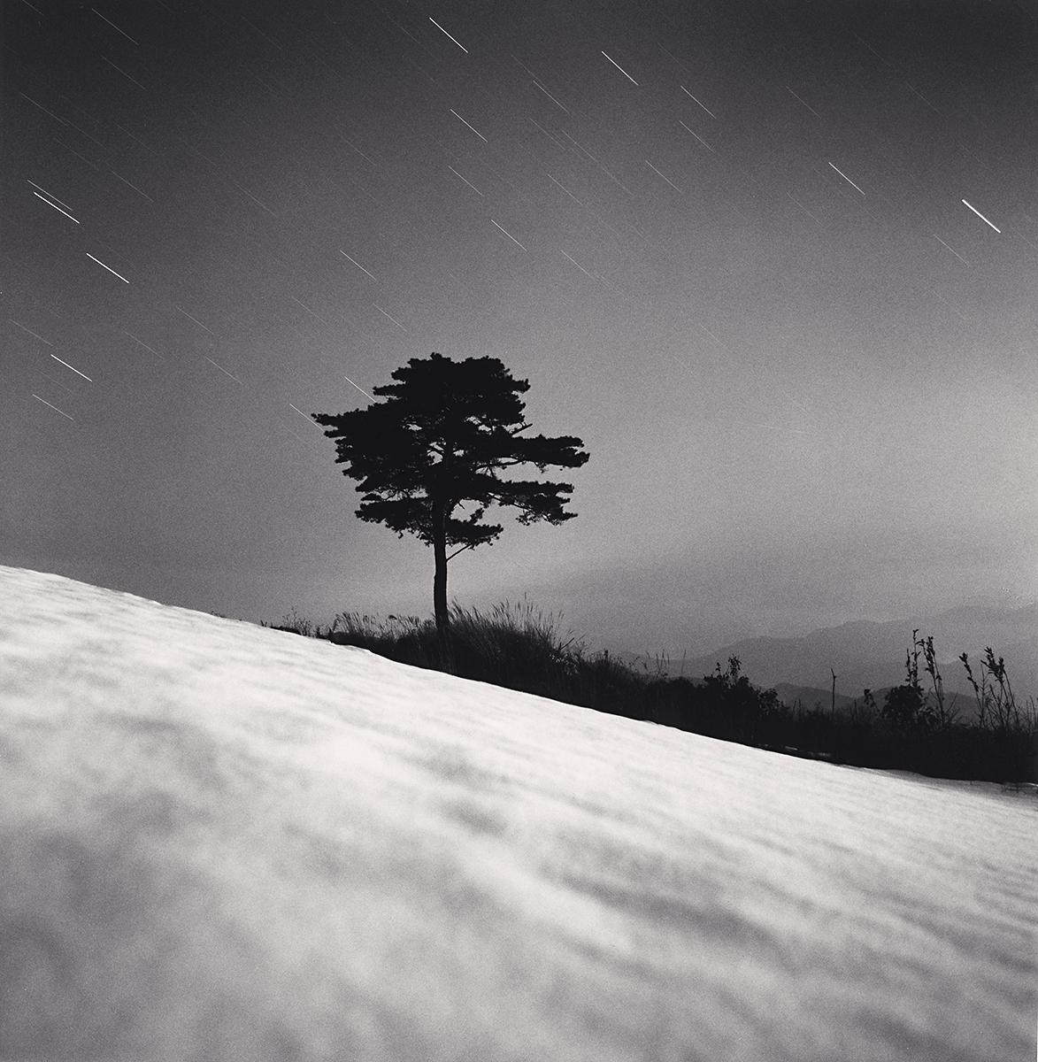 Michael Kenna Black and White Photograph - Mountain Tree, Study 2, Danyang, Chungcheongbukdo, South Korea