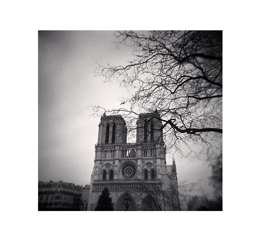 Michael Kenna Landscape Photograph - Notre Dame, Study 11, Paris, France