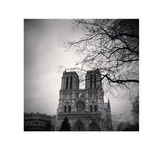 Notre Dame, Studie 11, Paris, Frankreich
