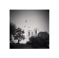 Notre Dame, Studio 12, Parigi, Francia