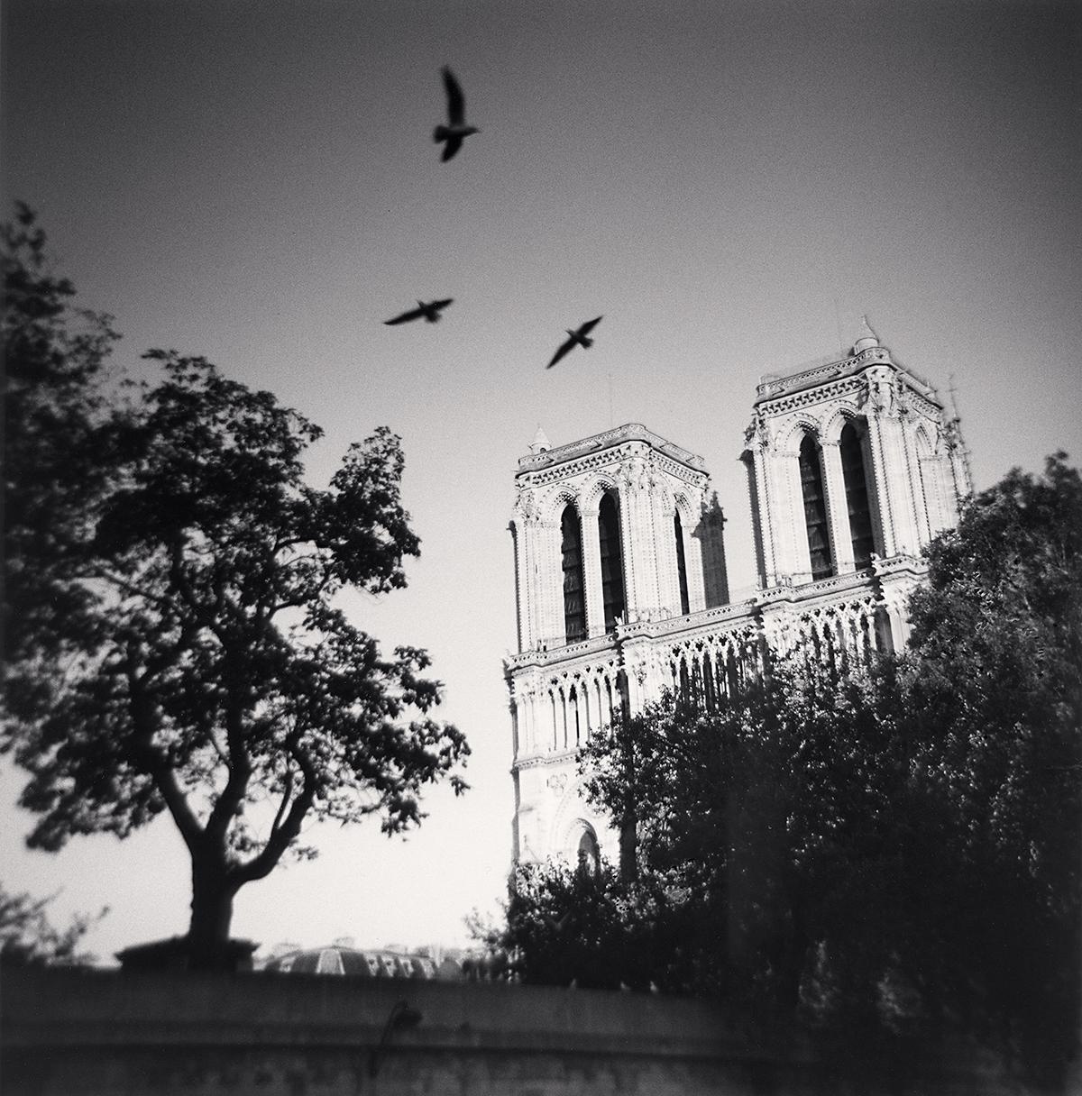 Michael Kenna Black and White Photograph - Notre Dame Study 12, Paris, France