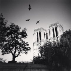 Notre Dame Study 12, Paris, France