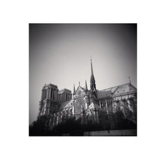 Notre Dame, Studie 13, Paris, Frankreich
