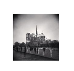 Notre Dame, Study 14, Paris, France