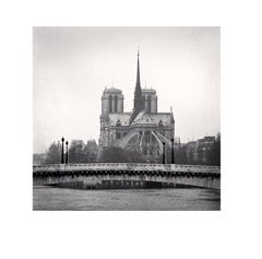 Vintage Notre Dame, Study 4, Paris, France