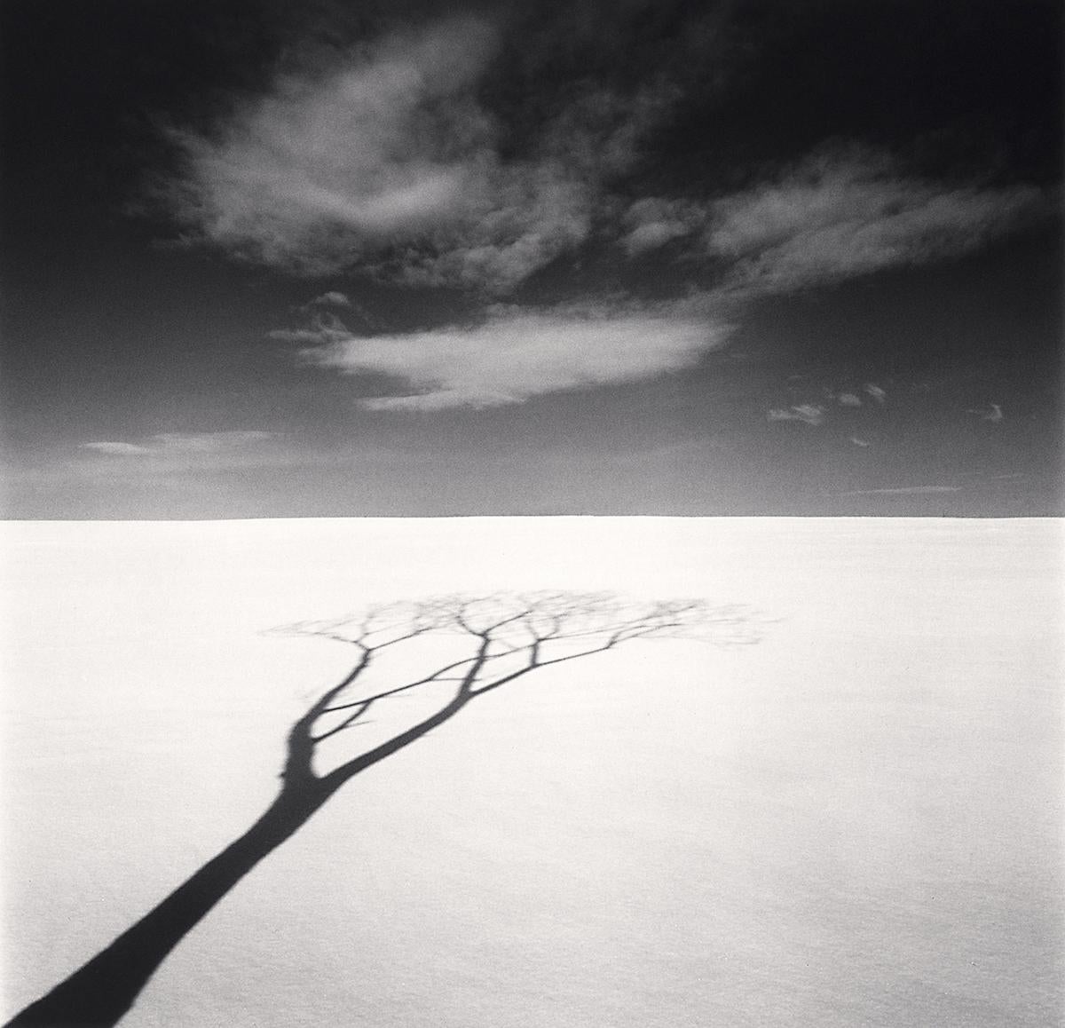 Onishi Tree Shadow and Clouds, Study 1, Hokkaido, Japan by Michael Kenna is a 8 x 8 inch* silver gelatin print, available in an edition of 25.
*Please note: the measurements of this print are approximated
This photograph is signed, titled, negative