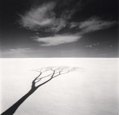Onishi-Baum Schatten und Wolken, Studie 1, Hokkaido, Japan, von Michael Kenna, 2023