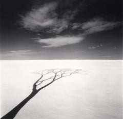 Ombra e nuvole dell'albero di Onishi, studio 1, Hokkaido, Giappone di Michael Kenna, 2023