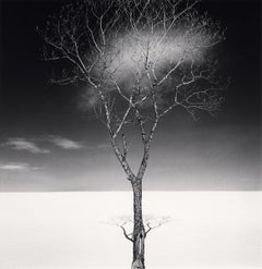 Onishi Tree Shadow and Clouds, Study 2, Hokkaido, Japan, by Michael Kenna, 2023