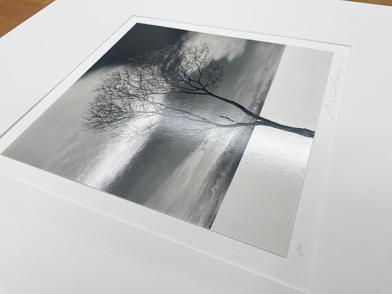 Onishi-Baum, Studie 3, Hokkaido, Japan - Wolken, minimalistisch, kontrastreich (Grau), Landscape Photograph, von Michael Kenna
